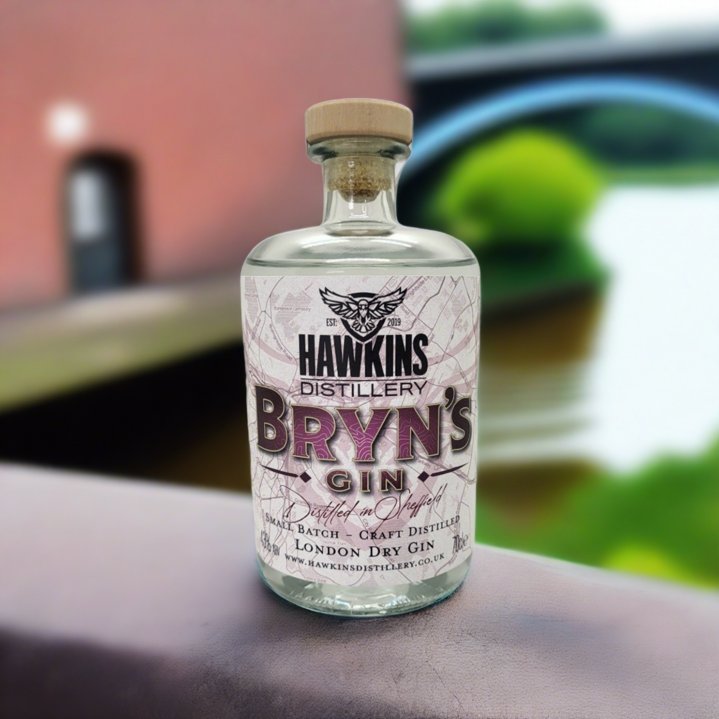 Bryn's Gin